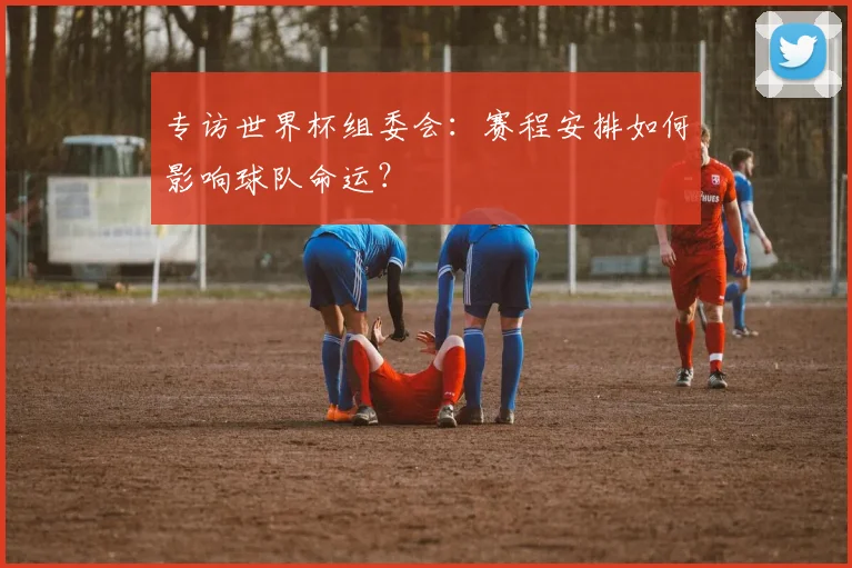 专访世界杯组委会:赛程安排如何影响球队命运?