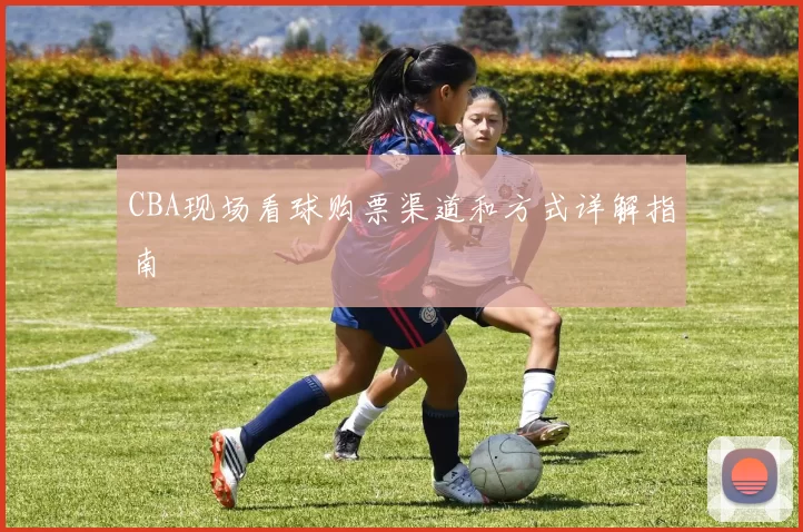 CBA现场看球购票渠道和方式详解指南