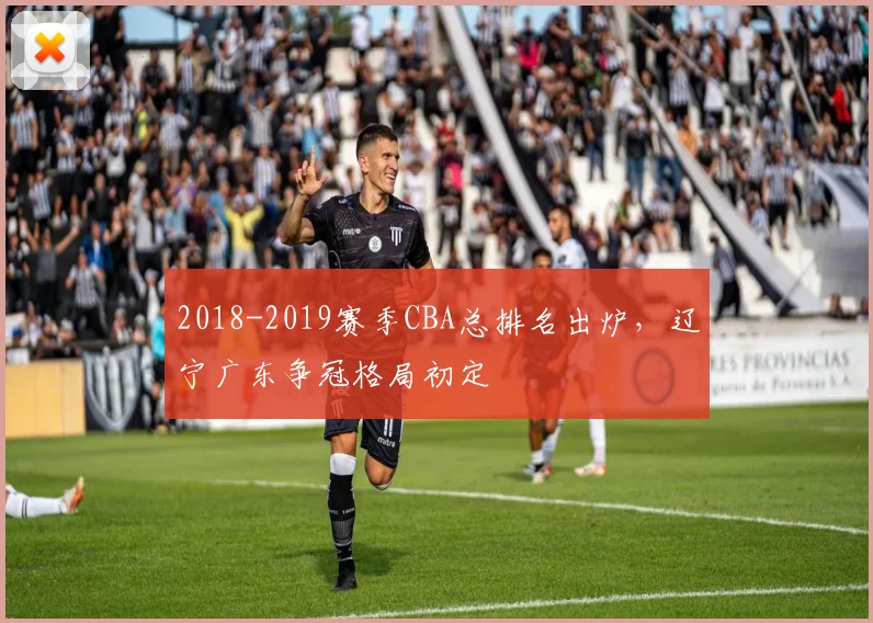 2018-2019赛季CBA总排名出炉,辽宁广东争冠格局初定
