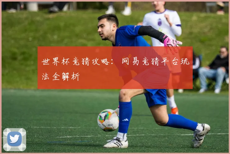 世界杯竞猜攻略：网易竞猜平台玩法全解析