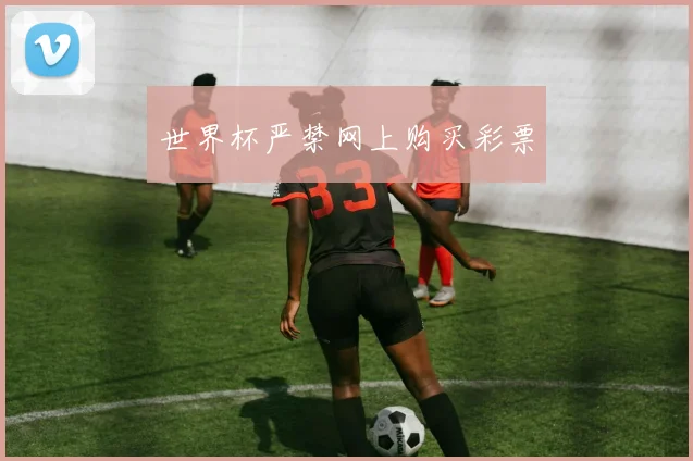 世界杯严禁网上购买彩票