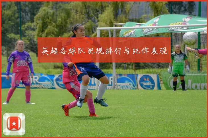 英超各球队犯规排行与纪律表现