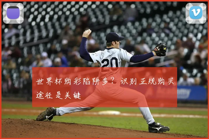 世界杯购彩陷阱多？识别正规购买途径是关键