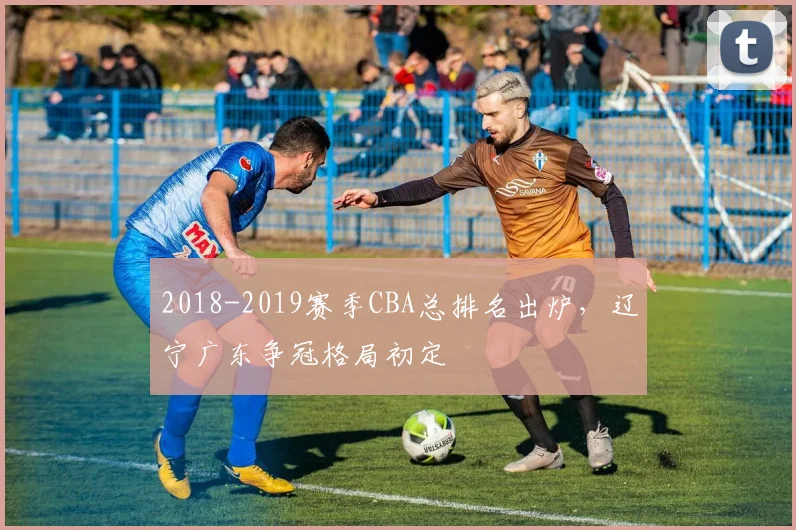 2018-2019赛季CBA总排名出炉,辽宁广东争冠格局初定