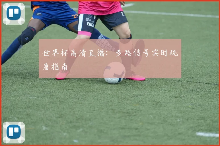 世界杯高清直播：多路信号实时观看指南