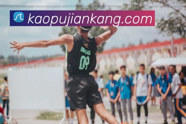 华体会官网平台生态图