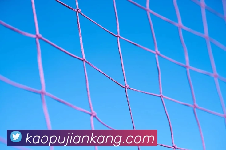 华体会官网APP 封面图